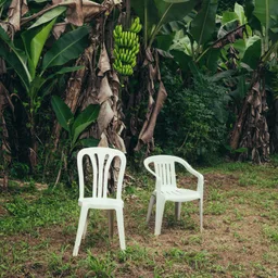 Playlist cover: two empty white plastic chairs in front of banana plants